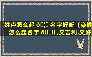 姓卢怎么起 🦉 名字好听（栾姓怎么起名字 🐈 ,又吉利,又好听）